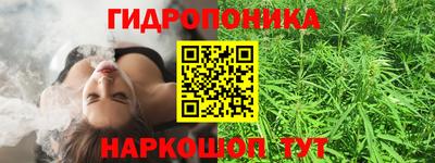 прущий лед Кингисепп