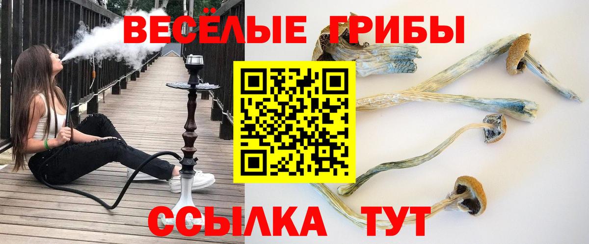 Кропоткин  Галлюциногенные грибы ЛСД  Вход с VPN  Галлюциногенные грибы мухоморы 