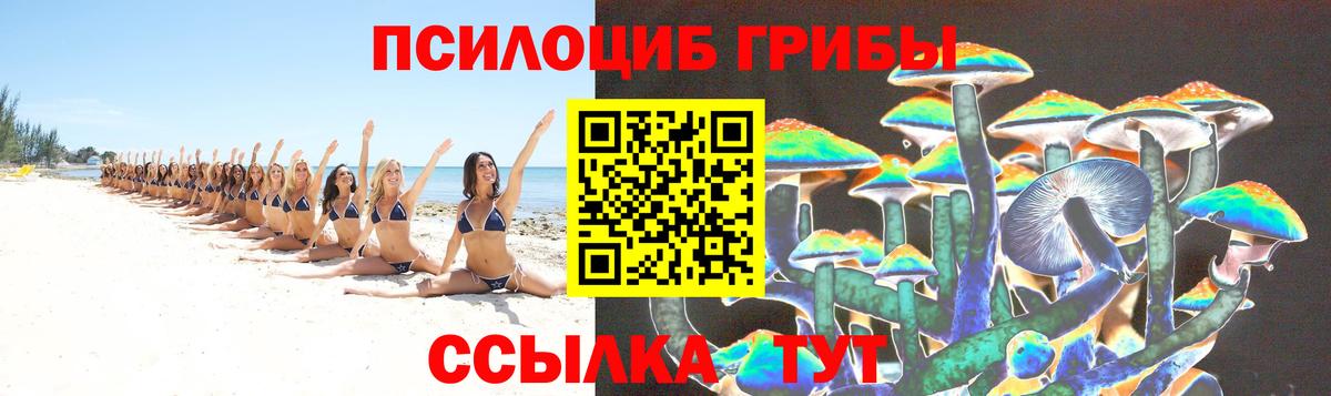 Псилоцибиновые грибы GOLDEN TEACHER Кропоткин